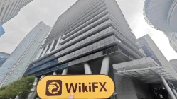 EXP Singapura Verificado: Nenhuma Presença Física Encontrada