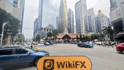 Henderson Palmer Singapur  Verificado: No se encontró presencia física