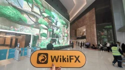 Lvl Singapore PTE Сингапур  Проверено: Физическое присутствие не обнаружено