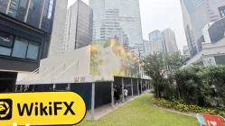 InvestiRay 싱가포르  확인됨:  물리적 존재 확인되지 않음