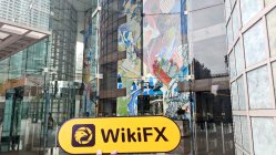 Fenics FX Singapur  Verifiziert:  Keine physische Präsenz festgestellt