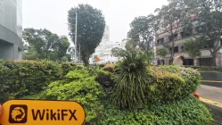 Phillip CFD सिंगापुर  सत्यापित:  कोई भौतिक उपस्थिति नहीं मिली