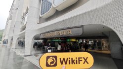 AEL Singapur  Doğrulandı:  Fiziksel Varlık Bulunamadı