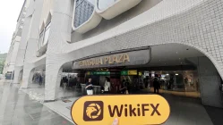 AEL Singapore  Verificato: Nessuna Presenza Fisica Trovata