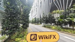 JPY-500 Сингапур  Проверено: Физическое присутствие не обнаружено