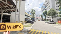 新加坡实地探访外汇交易商BestBull 不存在真实展业场所