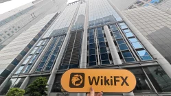 LION 싱가포르  확인됨:  물리적 존재 없음