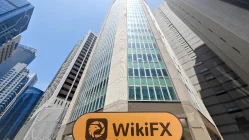 Stcwelt Singapore Đã xác minh: Không tìm thấy sự hiện diện vật lý