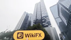 Seventy Brokers Singapur Verificado: No se encontró presencia física