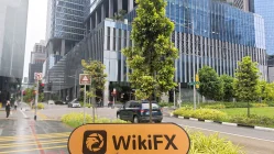 Seventy Brokers Singapur Verificado: No se encontró presencia física