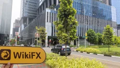 Freepoint Singapur  Verifiziert:  Keine physische Präsenz gefunden