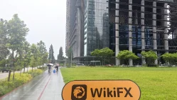 Interactive Brokers Singapore  Verified:  No Physical Presence Found