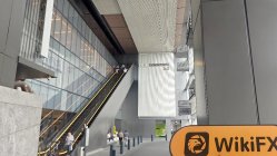 OFX สิงคโปร์ ตรวจสอบแล้ว: ไม่พบการมีอยู่ทางกายภาพ