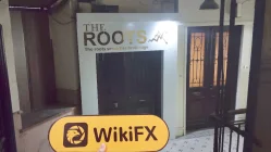 THE ROOTS Mısır  Doğrulandı:  Operasyonel Ofis Onaylandı