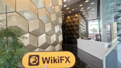 Robertson RX 新加坡  驗證：未發現實際存在