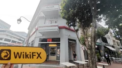 Vanir 新加坡  驗證：未發現實際存在