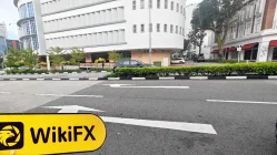 Sevens Tree 新加坡  驗證：未發現實際存在