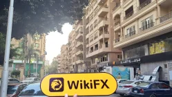 埃及实地探访外汇交易商ARZAN 不存在真实展业场所