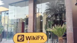 PRIME HOLDING 이집트 확인됨: 운영 사무소 확인됨