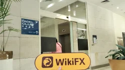 BELTONE FINANCIAL Egypt Verified (Galleria 40 Mall): Walang Nakitang Pisikal na Presensya