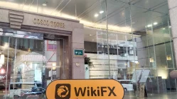 Nobelseed 香港  驗證：未發現實際存在