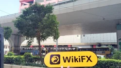 DAYOU FUTURES هونغ كونغ  تم التحقق:  لم يتم العثور على وجود مادي