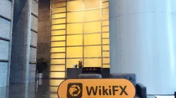 Ocean Joy Hong Kong Verificado: Nenhuma Presença Física Encontrada