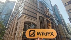 CJS Hongkong  Verifiziert:  Betriebsbüro bestätigt