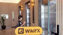 FGFSL Hong Kong  Napatunayan:  Walang Pisikal na Presensya na Natagpuan