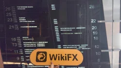 Bibgold Hong Kong Verificato: Nessuna Presenza Fisica Trovata