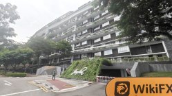 IBIZ 新加坡  驗證：未發現實際存在