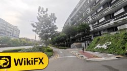 IBIZ 新加坡  驗證：未發現實際存在