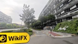 IBIZ Singapore  Đã xác minh: Không tìm thấy sự hiện diện thực tế