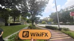 IBIZ Singapore  Đã xác minh: Không tìm thấy sự hiện diện thực tế