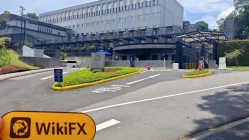 新加坡实地探访外汇交易商Tfxtradeoptions 不存在真实展业场所