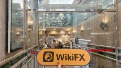 Hantec هونغ كونغ  تم التحقق:  مكتب تشغيلي مؤكد