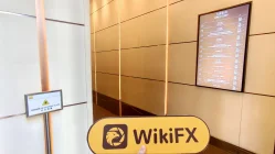 Head & Shoulders Hong Kong Terverifikasi: Kantor Operasional Dikonfirmasi