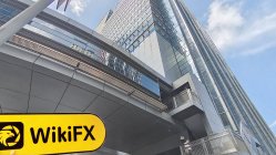 SUNRISE BROKERS Hong Kong Verificato: Nessuna Presenza Fisica Trovata