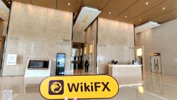 中国香港实地探访外汇交易商ZHENG DA INTERNATIONAL 存在真实展业场所