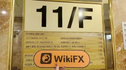 ZHONGYANG Hong Kong Verificado: Oficina Operacional Confirmada