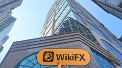 ZHONGYANG Hong Kong Verificado: Oficina Operacional Confirmada