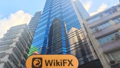 中国香港实地探访外汇交易商QANTEX 存在真实展业场所