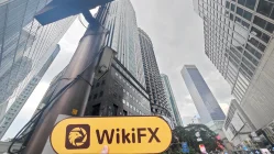 EMF Prime Malaysia  Verifiziert: Keine physische Präsenz festgestellt