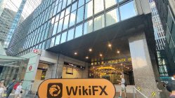 CHIEF 홍콩  확인됨: 운영 사무실 확인 완료