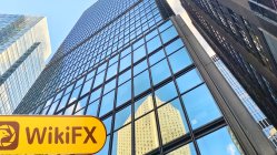 CHIEF 홍콩  확인됨: 운영 사무실 확인 완료