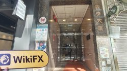 Quadcode Trade Hong Kong Verificato: Nessuna Presenza Fisica Trovata