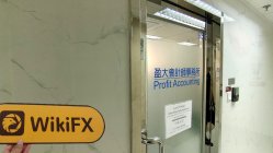 Quadcode Trade Hong Kong Verificato: Nessuna Presenza Fisica Trovata