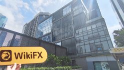 Power Trading هونغ كونغ  تم التحقق:  لم يتم العثور على وجود مادي