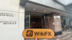 REALINK 香港 已驗證： 運營辦公室確認