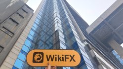 REALINK 香港 已驗證： 運營辦公室確認